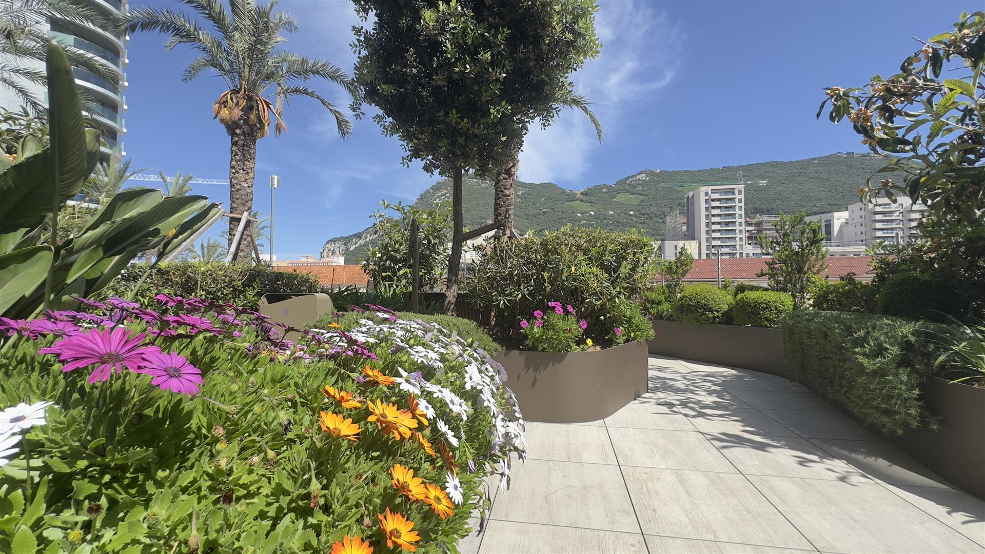 Image of Apartment - 1 Bathrooms for Rental in EuroCity-Gibraltar, Image 19